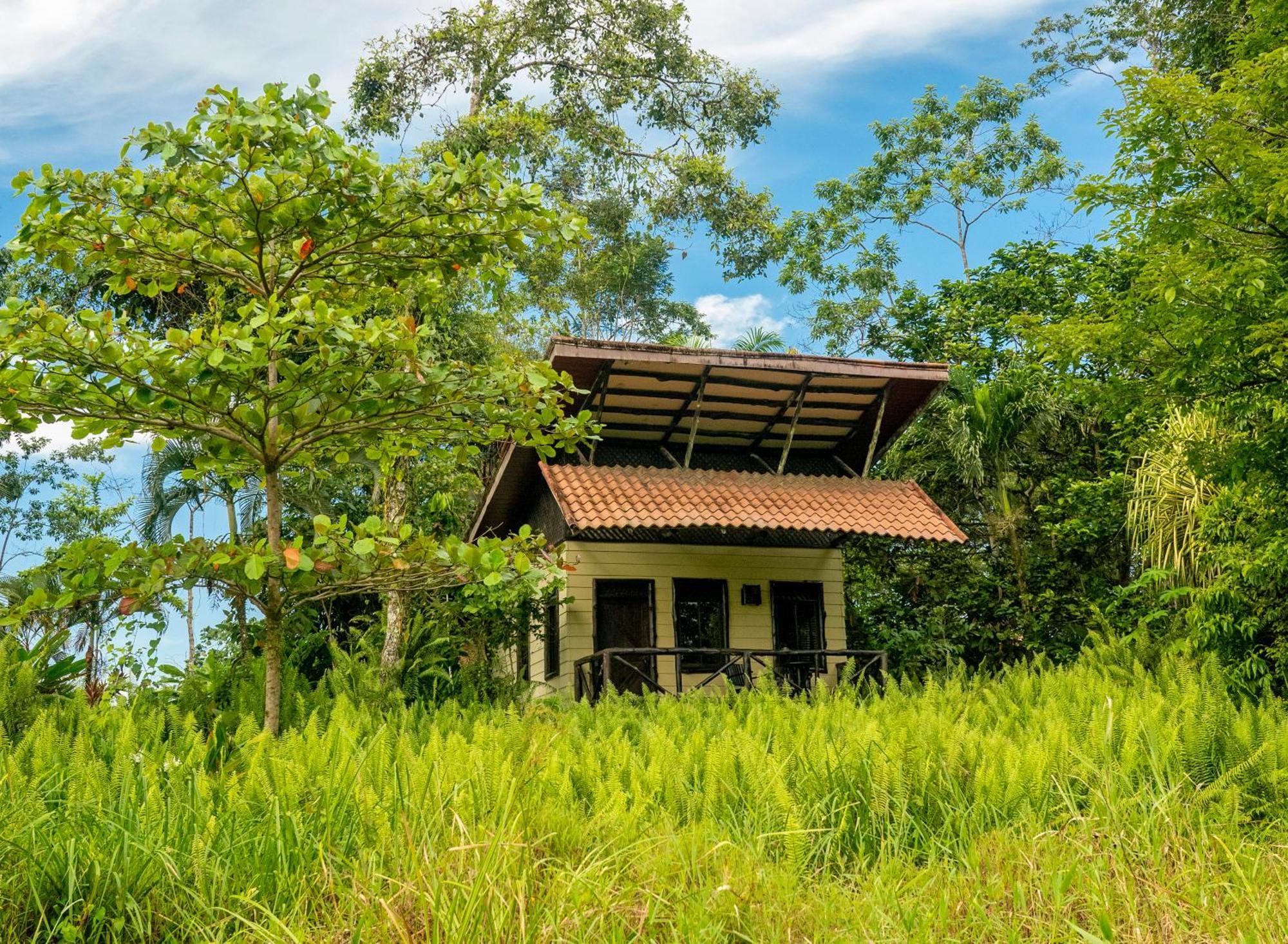 Maquenque Ecolodge Boca Tapada Екстериор снимка