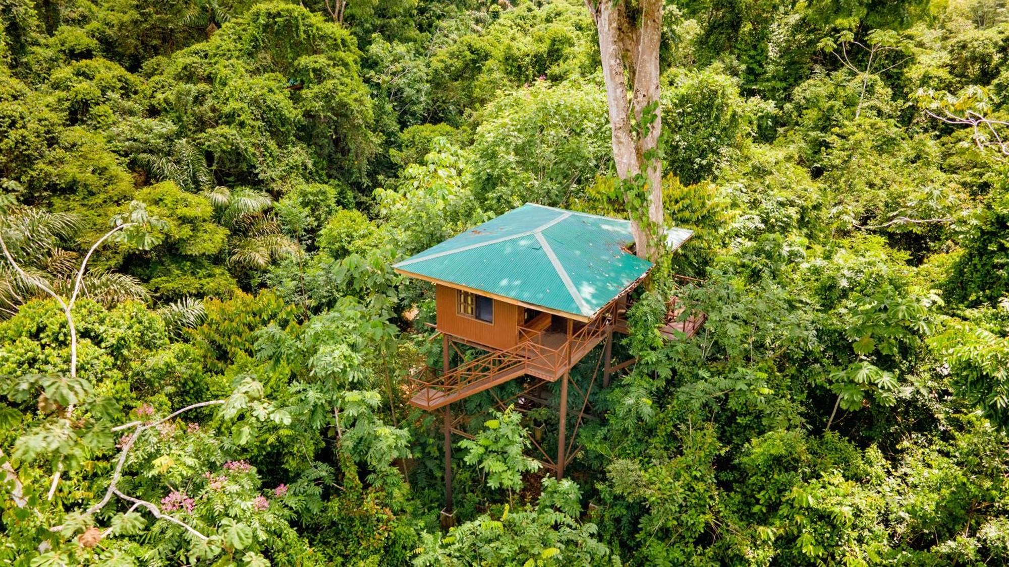 Maquenque Ecolodge Boca Tapada Екстериор снимка