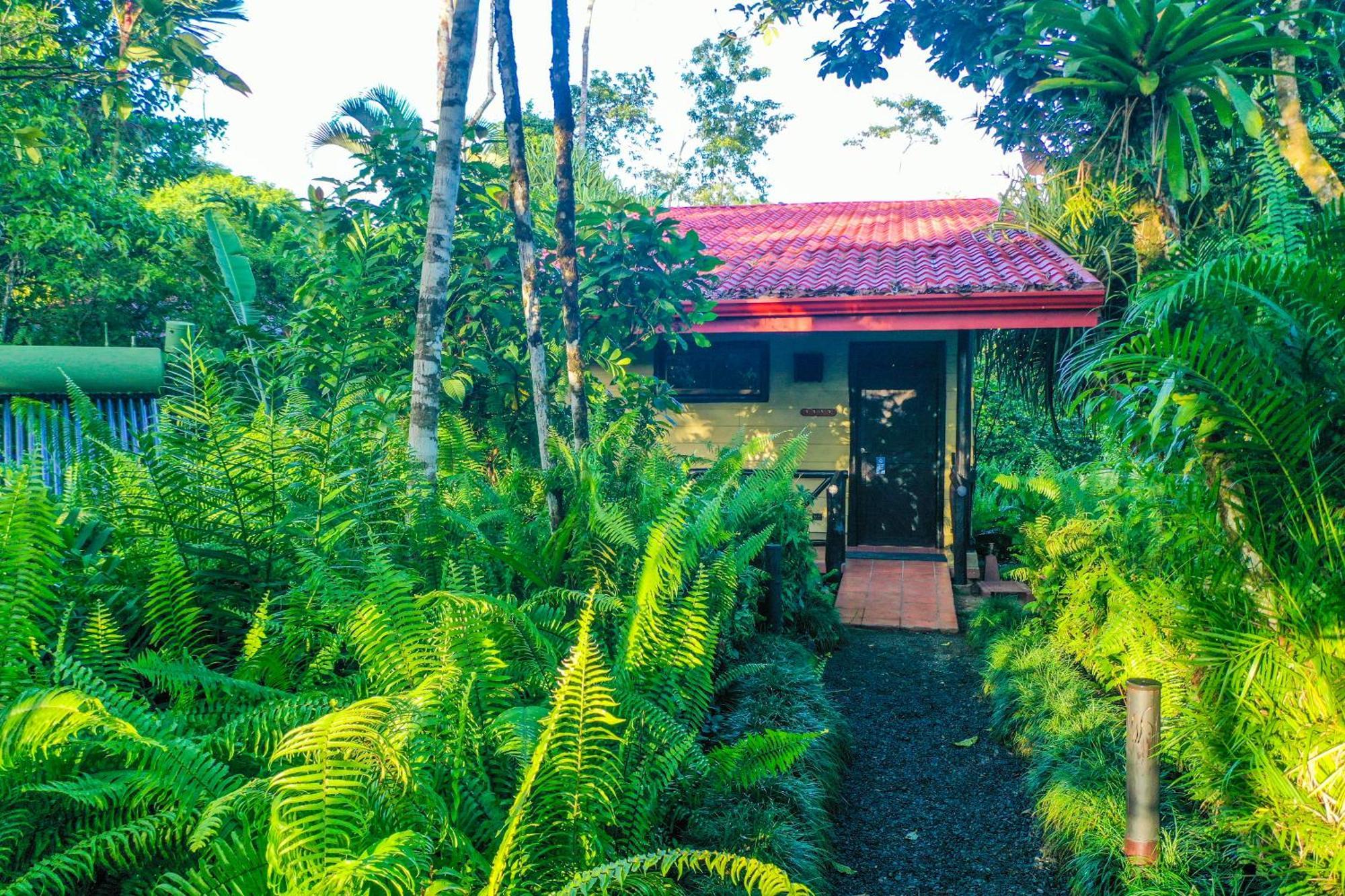 Maquenque Ecolodge Boca Tapada Стая снимка