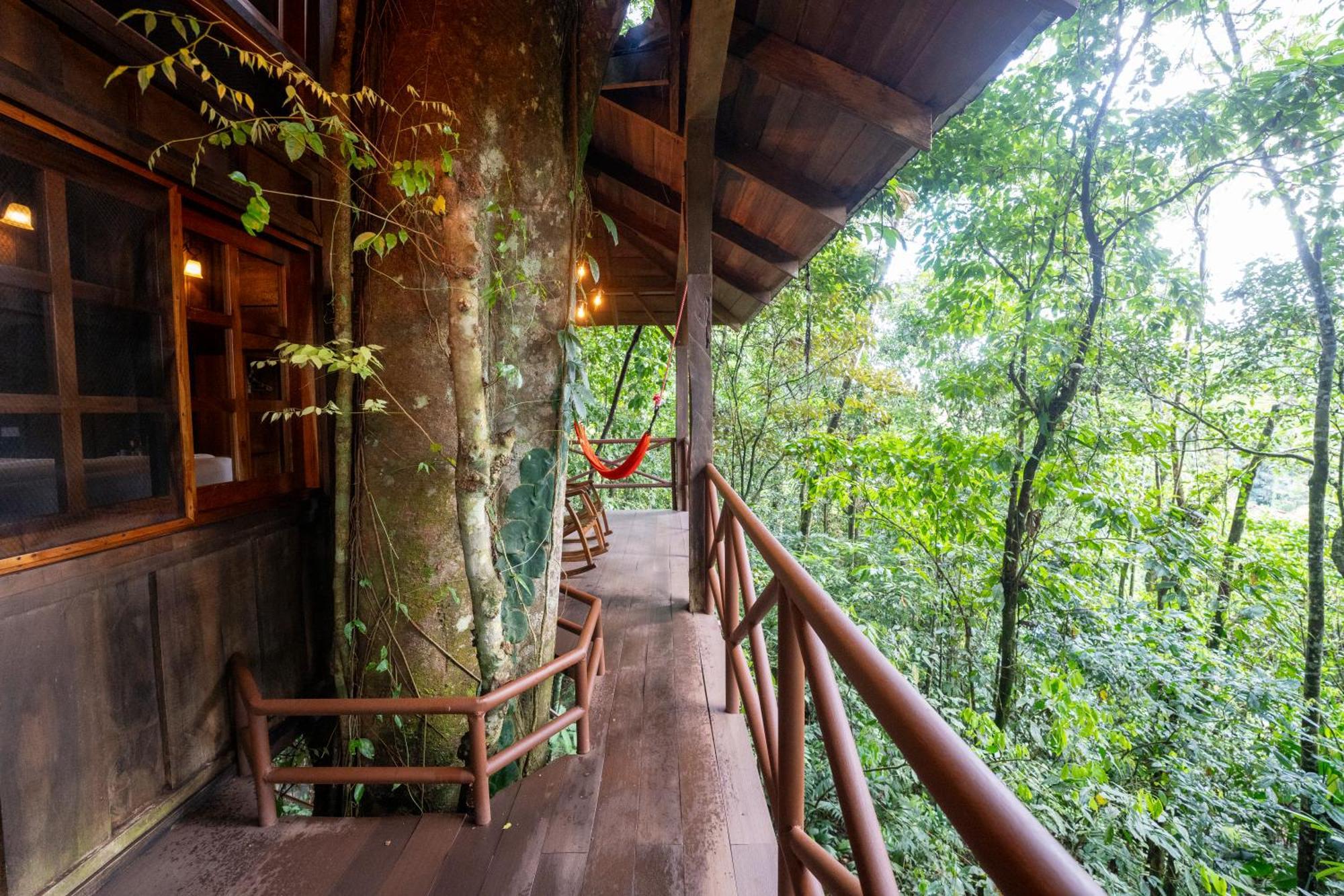 Maquenque Ecolodge Boca Tapada Екстериор снимка