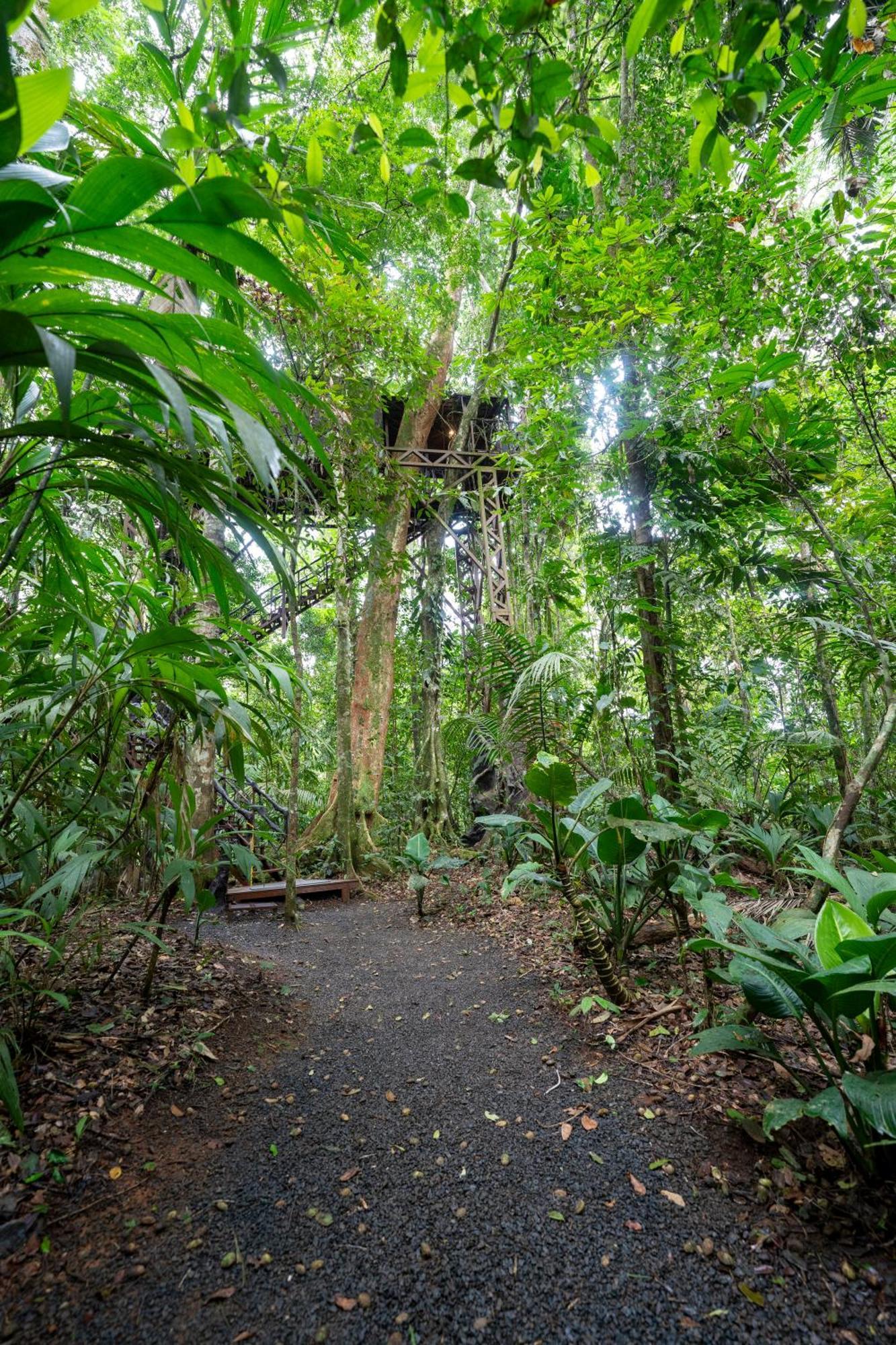 Maquenque Ecolodge Boca Tapada Екстериор снимка